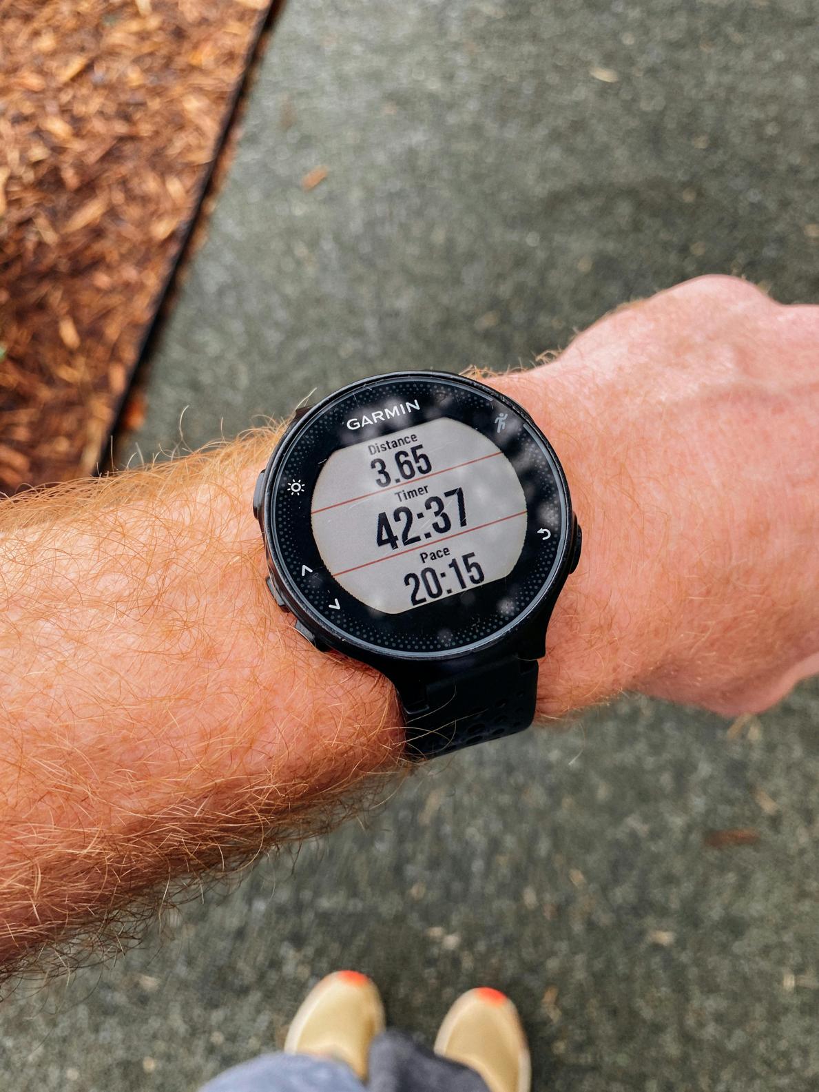 how to reset garmin watch